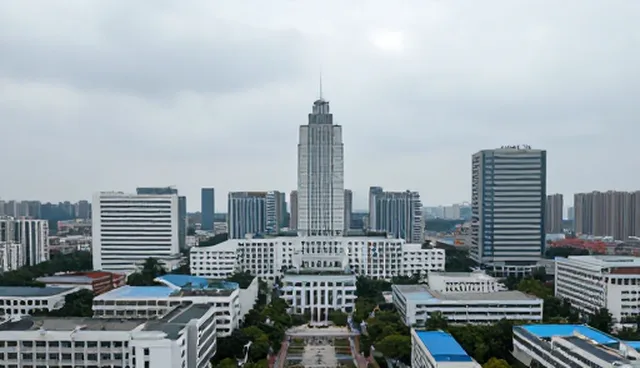 优化业务流程:节点可查在实际应用中的维护与使用建议